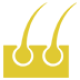 Tricologi